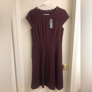 Ann Taylor Maroon/Burgundy Dress 2P
